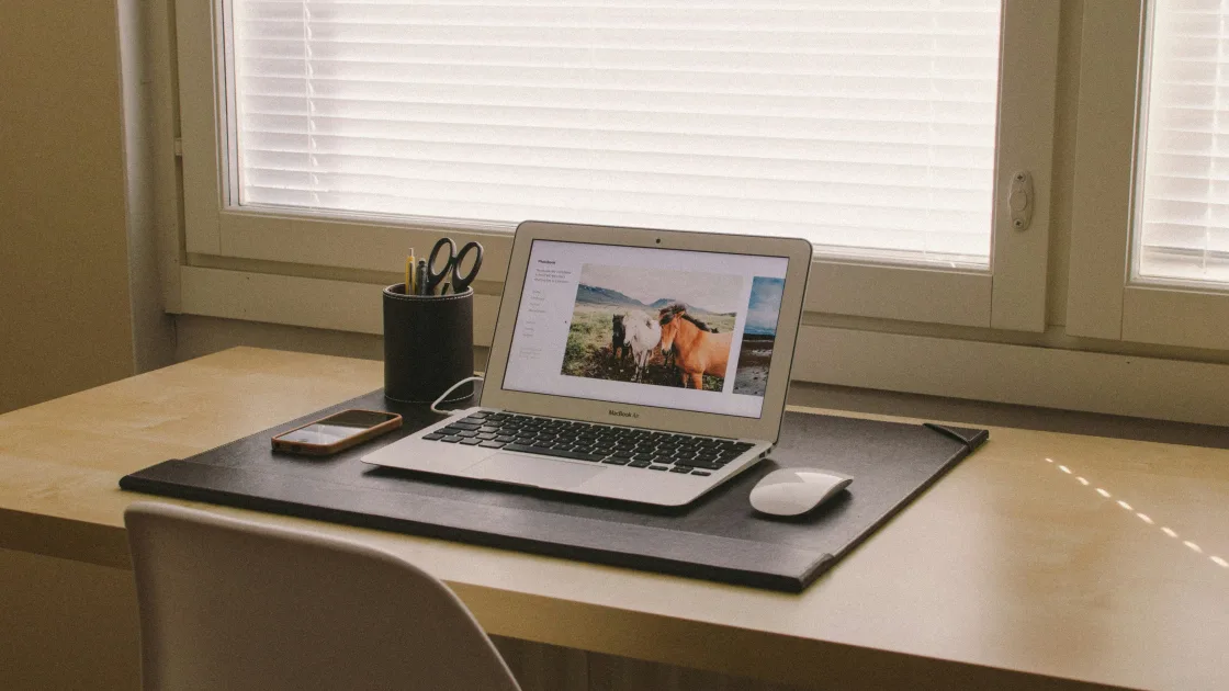 Пароль входа на Mac не принимается или забыт: как сбросить