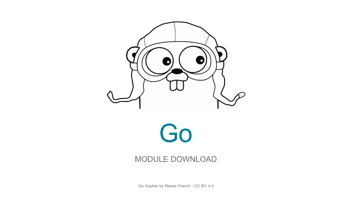 Go Module Download Timeout: Proxy or Checksum Service?