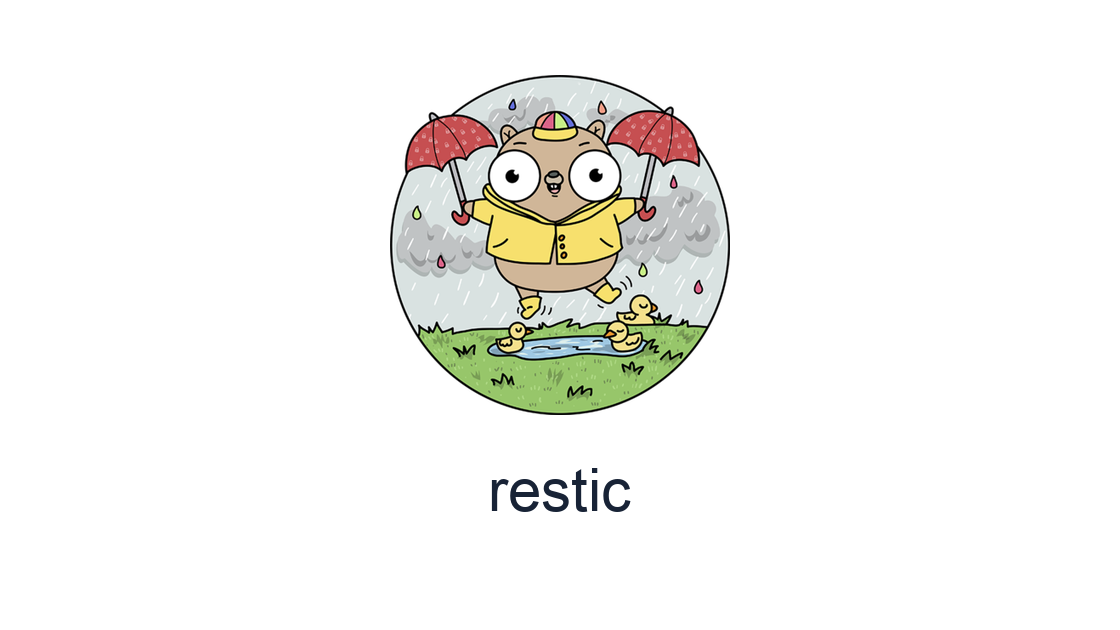 restic Repository Timeout: Network, Lock, or Access?