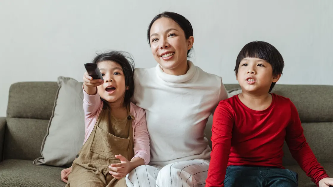 Streaming Household Verification Fails: What to Check